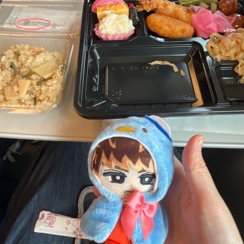 新幹線弁当🍱