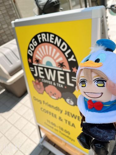 俺の弟さんのカフェに行ったんよ！たまごサンドを食べてジャスミンパインを飲んでわんちゃんとも触れ合えて楽しかったで！