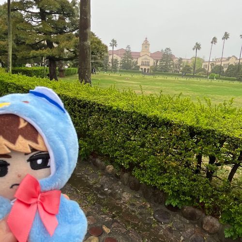 あいにくの雨☂️