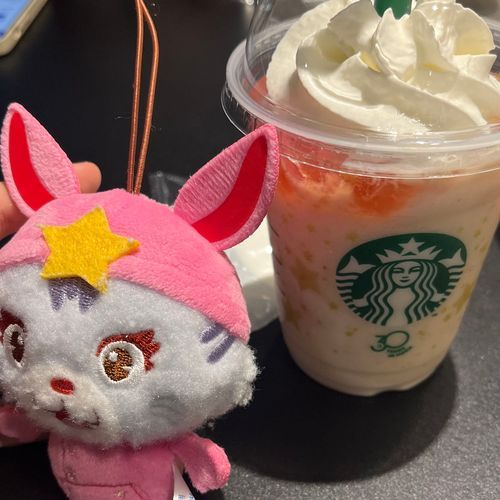 スタバの新作✨