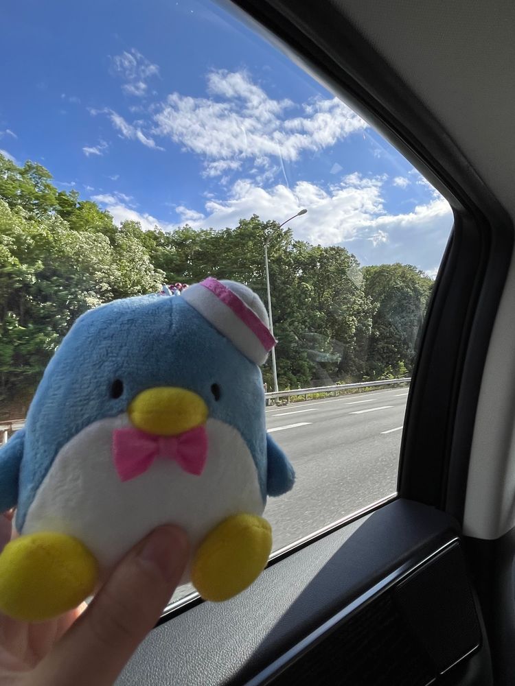 サーティーワン！！
とってもいいお天気だよ☀️