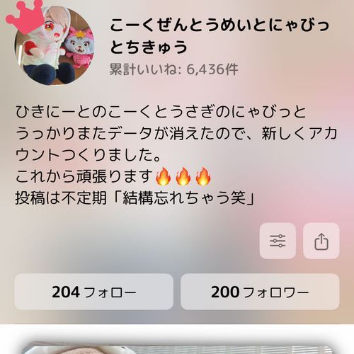 200フォロワーありがとうございます！！！マイペースに頑張っていきたいと思います！