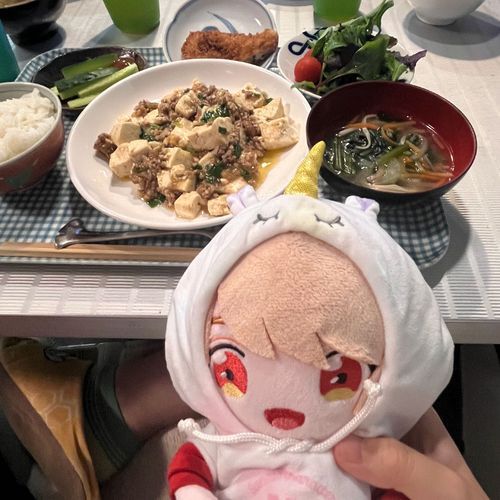 麻婆豆腐だよ