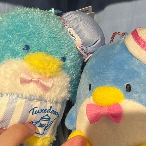 新入りくんだよ
フワフワで可愛い😍