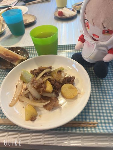 ハッシュドビーフになる予定が肉の炒めになったよ！