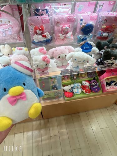 サンリオショップにやってきたよ！
ノーマルシナモンをゲットした！