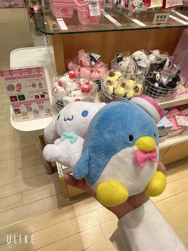 サンリオショップにやってきたよ！
シナモンをゲットした！