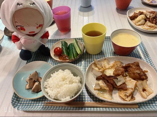 栄養たっぷりご飯を作ってもらったよ