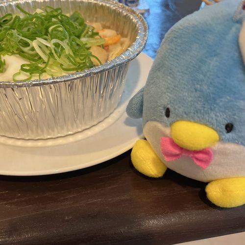 ネギたっぷりうどん
