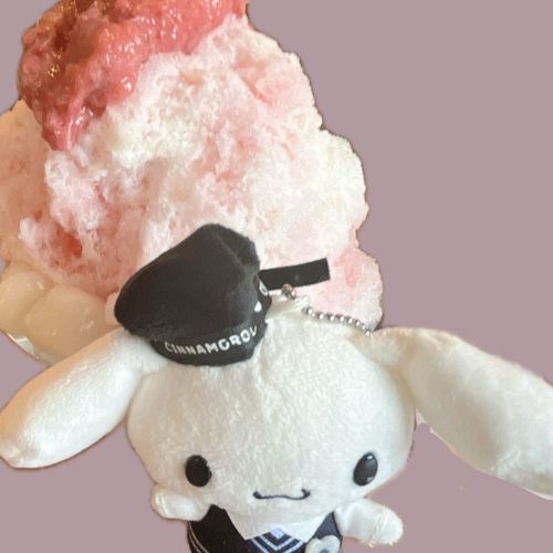 8月に食べたかき氷🍧