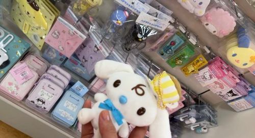 サンリオショップとサーティーワンに行ったよ！