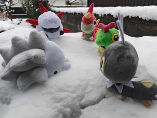 今年の2月に雪が降った時の虫ポケ(ベビ)たち。
うっかりフシデのローシュちゃんを忘れてしまったので、次にチャンスがあれば全員集合させたい😫