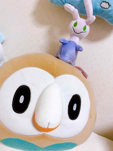 ぬめちゃんちっちゃいねえ