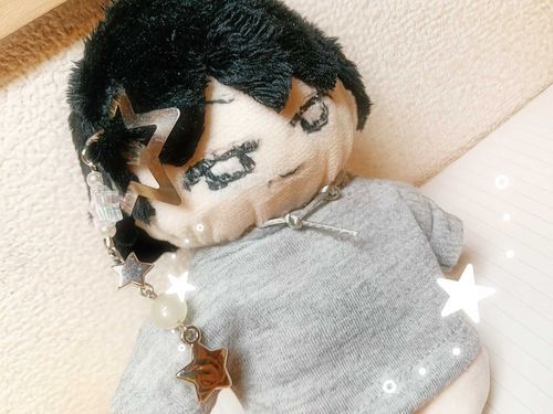 きらきらを身につけてご満悦なぽくとさん⋆˙*·.☆