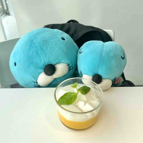 みなさんこんばんは〜！
お久しぶりのぼのとつむです😙
お姉ちゃんがまたIKEAに連れて行ってくれたよ！
マンゴープリンと杏仁豆腐、ぼのたちが好きなものが合体してるスイーツがあって、食べたよ♪