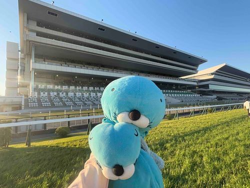 こんにちは😊
この前お姉ちゃんに京都競馬場に連れてってもらったよ☆

芝開放があって、ぼのたちもお散歩したよ🚶‍♀️
道がでこぼこしてて、ここで走るお馬さんたちはすごいね〜🐴