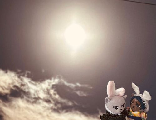 🌙