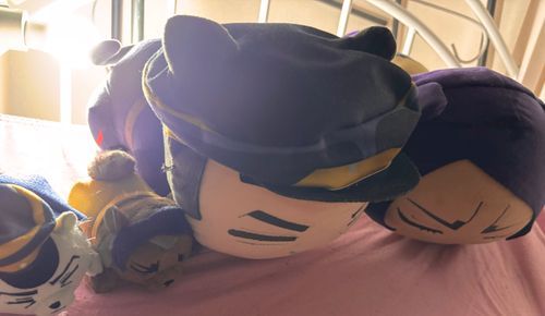 🛌