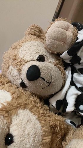 こんばんは〜🧸旧くまの友達ですー🧸🧸
僕の主がアカウントに入れなくなってしまったので再登録しましたー！改めてよろしくお願いします🧸🙏
みんなの投稿にいつも癒されてます( ^ω^ )♪