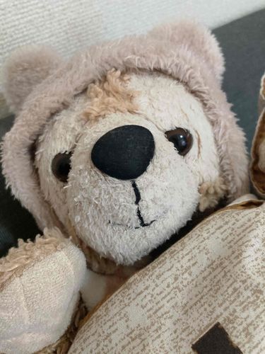 寒いからモコモコなの着せてもらった♪🧸ワンチャン用なんだって笑！僕はくまだけど、、嬉しいな♪🧸
モコモコ着ながらコタツでぬくぬく中( ˘ω˘ )