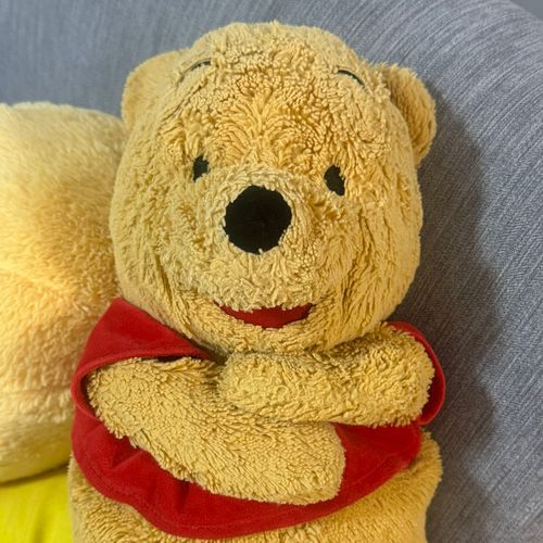 2009年生まれのでかぷーとその仲間たち🍯