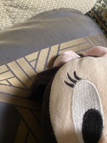プールが始まる⭐︎
