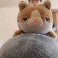 ゆちゃにんぎょう