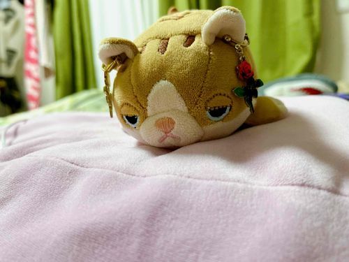 みみにつけてるイヤリングはあゆみのだ。せくしーぞーんのしょうりくんが好きみたいてライブにいくとき必ずつけて行くみたいだ。おれのほうがイケメンなのにな！