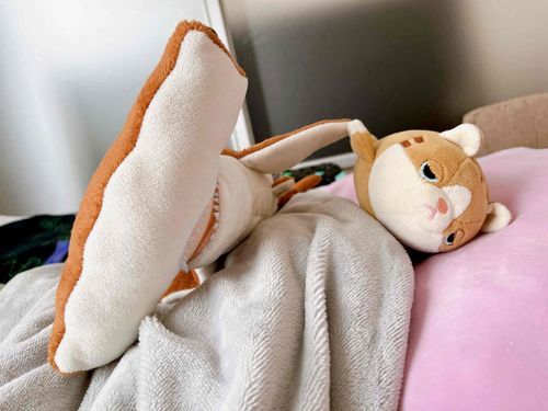 おれのだいしんゆうのはんましゃんとの写真だ！はんましゃんはハンマーヘッドシャークっていうしゅるいのさめのにんぎょうらしい！よくわかんないけどはんましゃんははんましゃんだ！