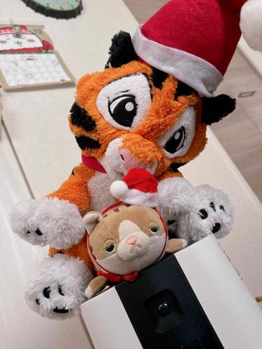 そろそろクリスマスってやつがあるからってあゆみがむりやりおれにサンタ帽ってのかぶせてきたんだ！……でもみんな似合うかわいいカッコイイっていうもんだから……しかたないな！おれはなんでもにあっちまうんだから！
おれと一緒にうつってるのはチャンドゥだ！