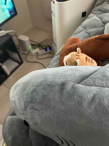今日はあゆみと本体はおやすみだ！2人ともゲームが好きだからとくとうせきであゆみのゲームをみまもってやるんだ！
