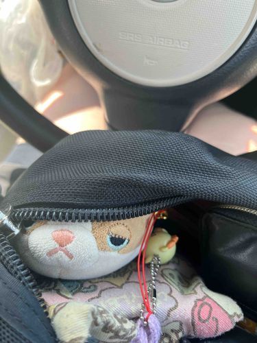 今日はあゆみがびょういんってとこに行くって、でも嫌がってたからおれがついてってやったんだ！それなのに、かばんにぎゅうぎゅうにつめこみやがって！でもこわいのはすこしなくなったみたいでよかったぜ！