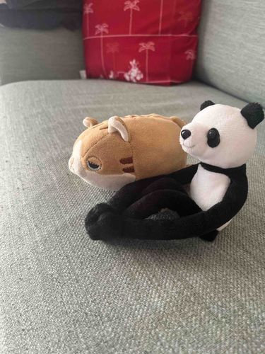 今日はあゆみとほんたいはしごとってのがお休みの日だ！この前あゆみの部屋に新しくきたパンダさんと、ソファでゆーちゅーぶをあゆみといっしょに見てるとこを写真とってくれた！今日もあついな！