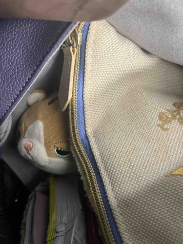 今日はあゆみがいちばんおうえんしてるとしくんってやつに会いにいくからって、でもきんちょうするからついてきてってむりやりかばんの中におしこまれたんだ！大のおとななのになさけねぇな！でもついてってやる！やさしいからな！