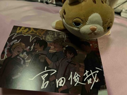 ぶじに家にかえってきた！としくんってやつ、かばんの中からだったけどイケメンだな！・・おれの次に！あゆみはきんちょうしてたみたいだ！1時間は街をさまよってたからしんぱいしたぞ…。でも元気にお酒のんでいつものあゆみにもどってよかった！これはそのとしくんってのにちょくせつもらったやつだ！