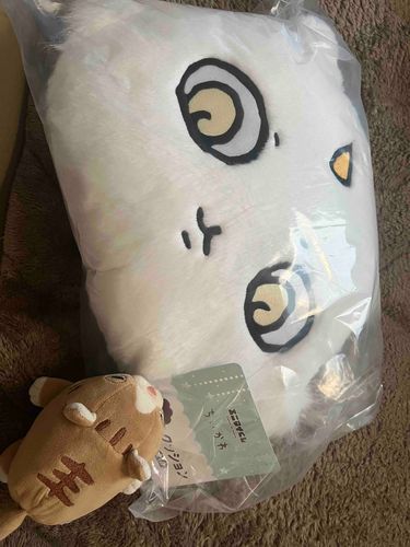 しんねんってやつがあけたんだって！本体とあゆみはずっとお酒をのんでぐーたらしてたな！
昨日うちにもなん人かいるちいかわの新しいなかまをあゆみがあててきた！なんか…こわく、、こわくなんかないぞ！