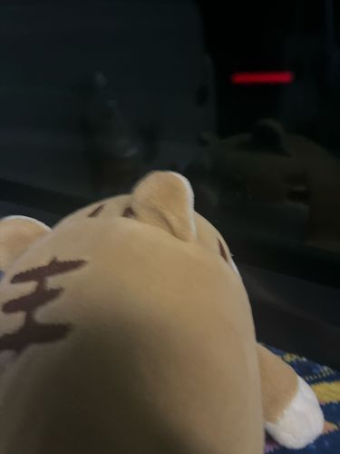 ひさしぶりだな！おぼえてるか？！ゆちゃにんぎょうだ！今日はあゆみがナゴヤってとこにひとりで行くからしかたなく着いていったんだ！それなのにずっとﾘｭｯｸの中にいてたいくつだった！やっと出してもらえたと思ったらこのありさま(夜)だ！なんだよ！