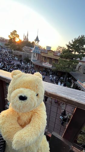生まれ故郷ディズニーに連れて行きました🐻