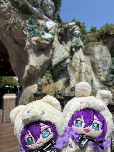 ディズニーの記念写真③