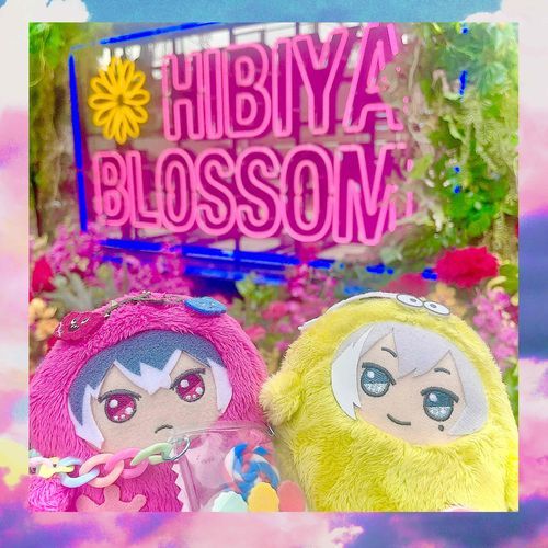 ﾊ  ﾅｶﾞ ｻｲﾀﾖ 🌸🌼🌺✨