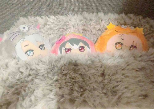 まだ来て間もないモンたち
慣れるまでふわふわの巣でゆっくりしていてね