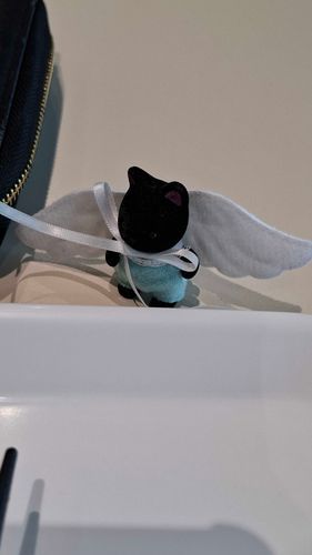 今天的天使🐈‍⬛🪽