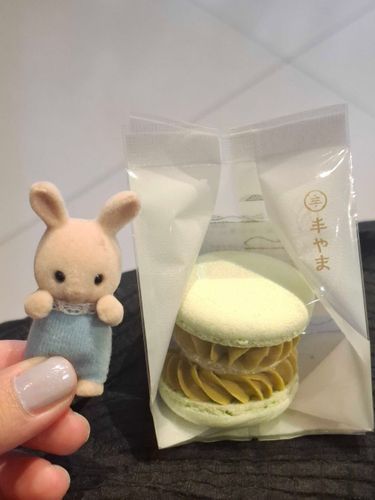 收到了開心果馬卡龍超開心🐰🍈