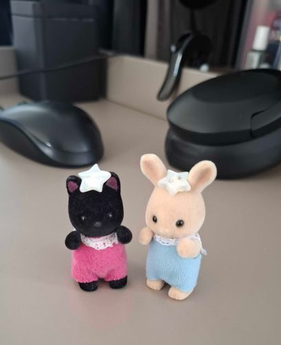 是掉落的星星鈕扣🗯🐈‍⬛🐇