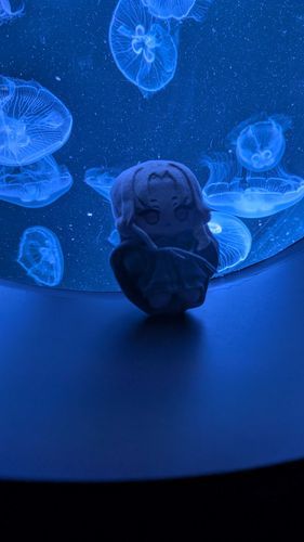 ふわふわのよかぜだよ〜

水族館行った時も撮ってみたんだけど暗すぎてよかぜも水族館の一部みたいになっててちょっと面白いよ〜