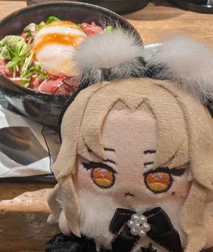 ふわふわのよかぜだよ〜🍯

これは空港で食べてたねぎとろ丼だよ🐟️
丼に小皿がついてるけどあれって何に使うんだろう……って未だに考えてるけどワサビとか避ける用なのかな〜～〜
