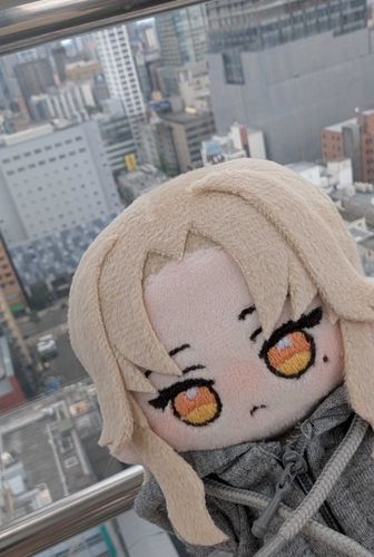 ふわふわのよかぜだよ〜🍯

これはお店の上にあった観覧車に乗った時の写真だよ〜
始めて遊園地以外の観覧車乗ったから新鮮だった！
初音ミクちゃんとコラボしてたり怖い話聞けるのがあったり、カラオケ出来る観覧車もあったよ〜🎡
乗るだけじゃないんだな〜ってちょっとびっくりした！