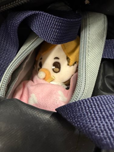 ついてきてたのね...可愛いかよ