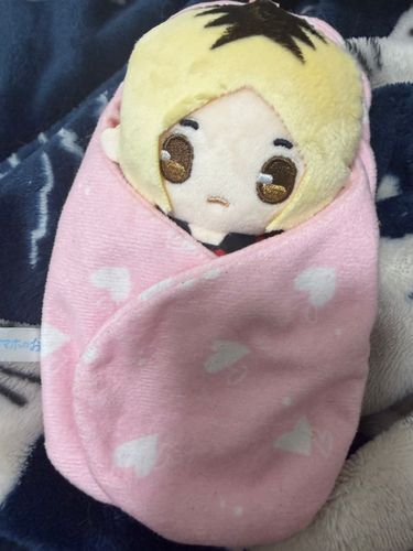 家族が増えました☺️