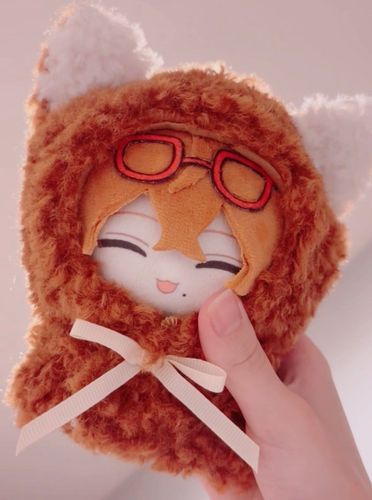 購入した着ぐるみ✨